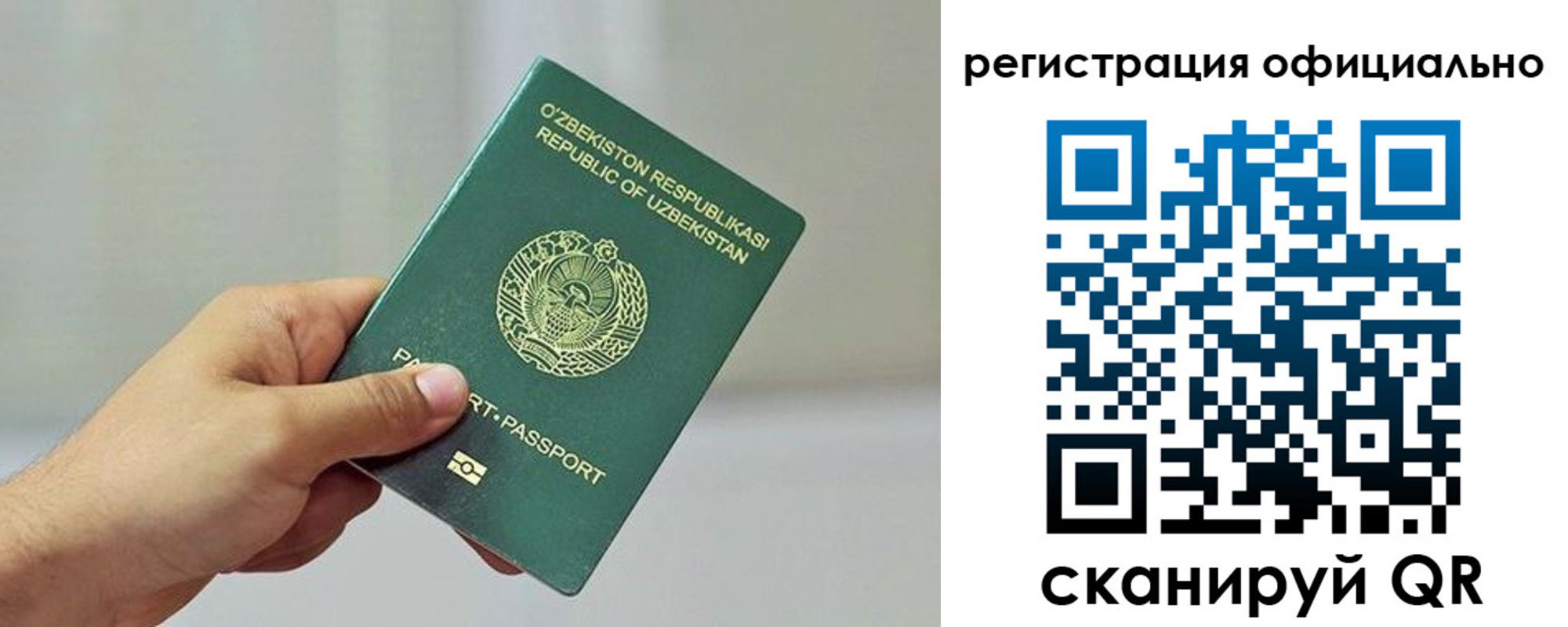 прописка в квартире в Электрогорске