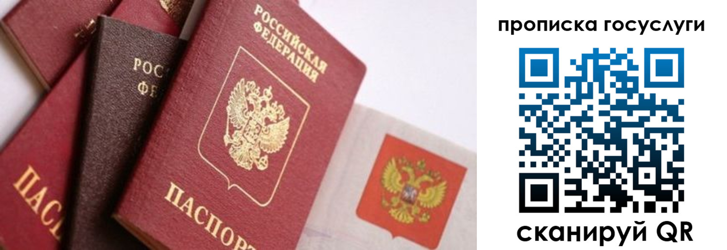 прописка законно в Электрогорске